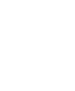 Trigon Logo